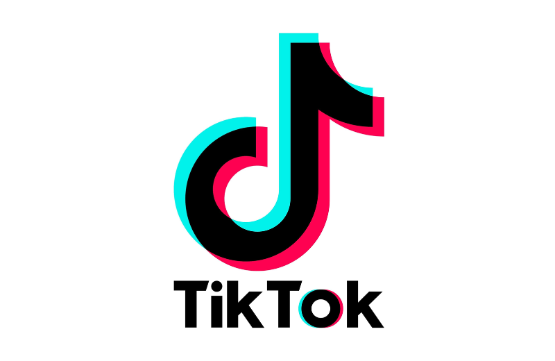 Tiktok Baby Boss