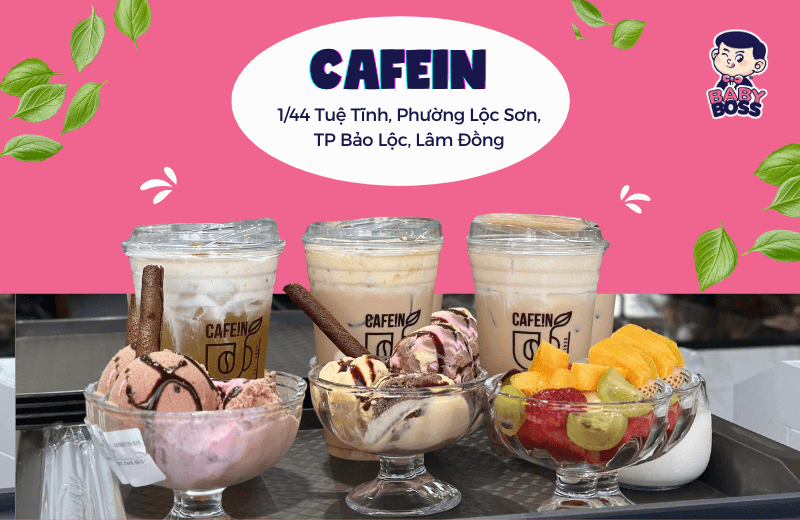 CAFEIN - Baby Boss’s Partner, Italian Gelato Flavours in Bao Loc