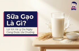 Sữa Gạo Là Gì? Lợi Ích Và Lý Do Ngày Càng Được Ưa Chuộng| Baby Boss