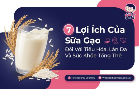 7 Lợi Ích Của Sữa Gạo Đối Với Tiêu Hóa, Làn Da Và Sức Khỏe Tổng Thể