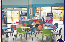 Vitamin Gelato – Nơi phảng phất hương vị Gelato Baby Boss tại Phù Long