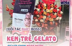 Đối tác Baby Boss - Kem Trề: Sự lựa chọn ngọt ngào trong hành trình khám phá Đồng Văn